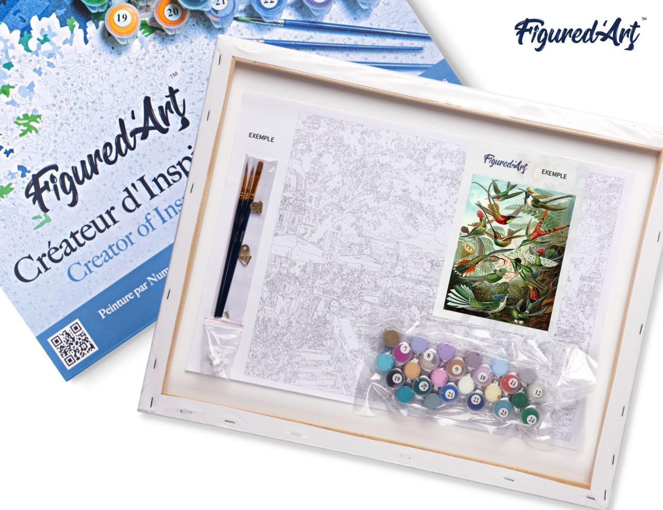 Figured'Art Paint by Numbers for Adults with Frame All The Birds 16"x20" - Craft Art Painting DIY Kit Canvas Already Stretched on a Wooden Frame