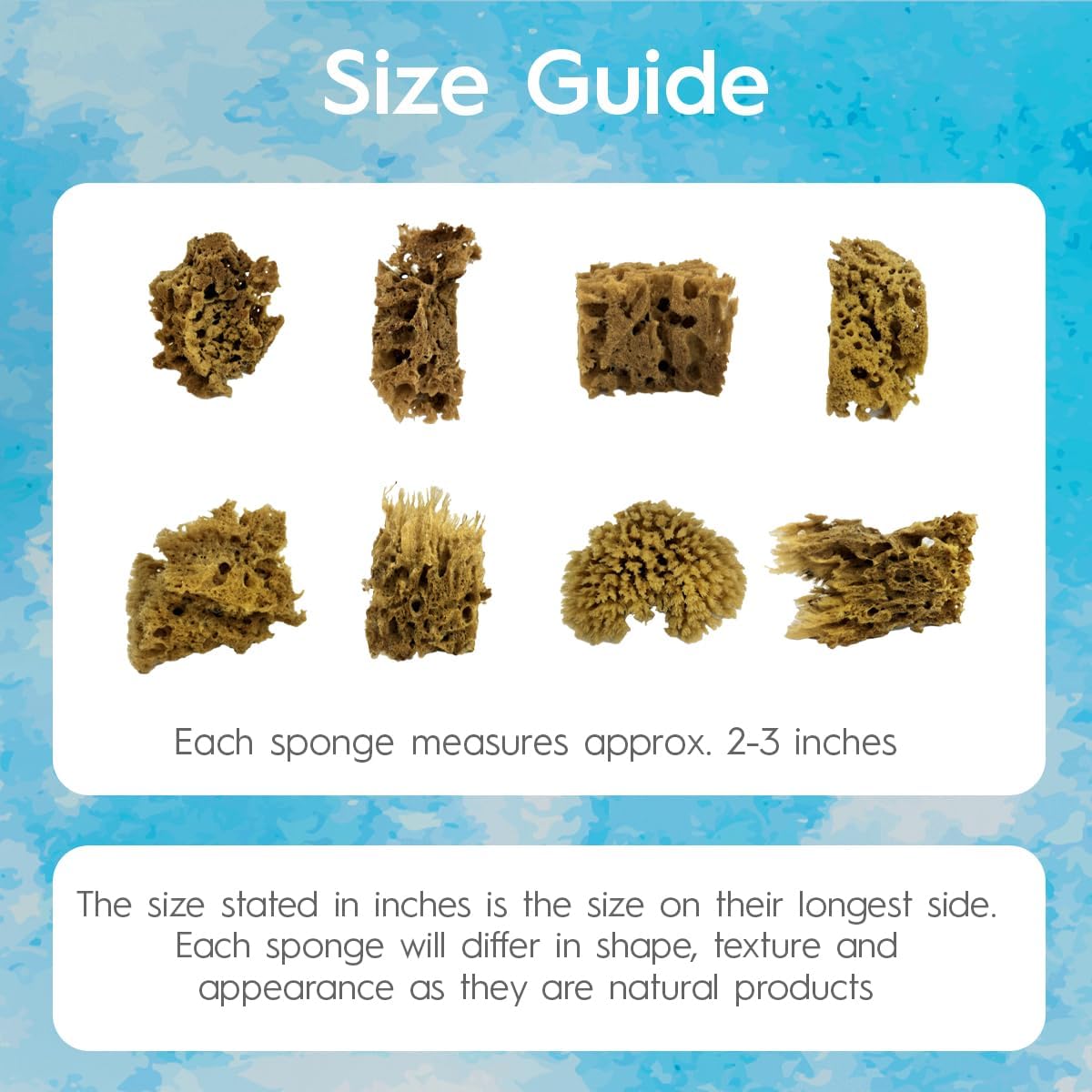 NAROA Artist Natural Sea Sponges for Painting 8 Pack | Unbleached Unique Art Tool Set | Suitable for Acrylic Watercolor, Marbling, Texturing, Pottery, Ceramics