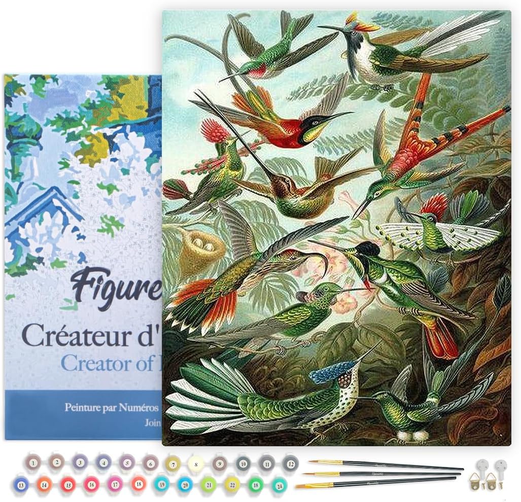Figured'Art Paint by Numbers for Adults with Frame All The Birds 16"x20" - Craft Art Painting DIY Kit Canvas Already Stretched on a Wooden Frame