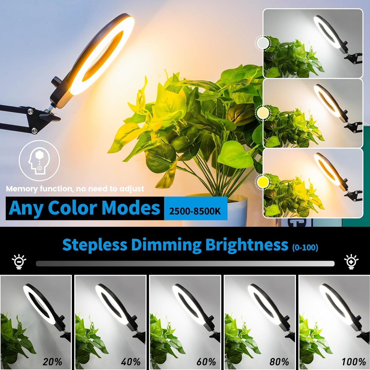 KIRKAS 10X Magnifying Glass with Light and Stand, 2-in-1 Any Color Modes & Stepless Brightness Magnifying Desk Lamp with Clamp, LED Magnifier with Light for Crafts Jewelry Painting Sewing Close Work