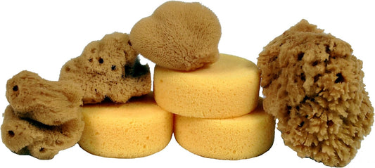 Creative Hobbies® Synthetic and Natural Silk Sponges for Painting, Crafts, Ceramics, Pottery and More, Value Pack of 7 Sponges