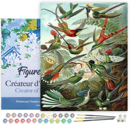 Figured'Art Paint by Numbers for Adults with Frame All The Birds 16"x20" - Craft Art Painting DIY Kit Canvas Already Stretched on a Wooden Frame