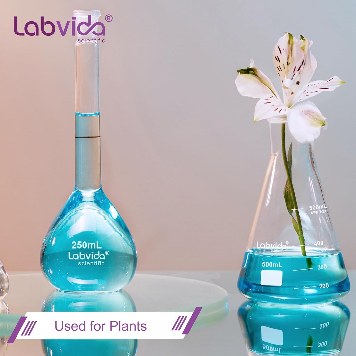 LABVIDA 6pcs of Narrow Mouth Glass Erlenmeyer Flasks, Vol.500ml, 3.3 Borocilicate with Printed Graduation, LVC007